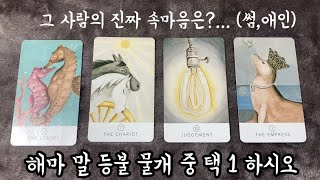 타로 그 사람의 속마음은? (썸,연인) #연애운밝아지는피부톤케어