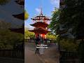 Most people plan Japan day trips wrong. Here’s how many actually make sense