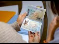 Animal Passport