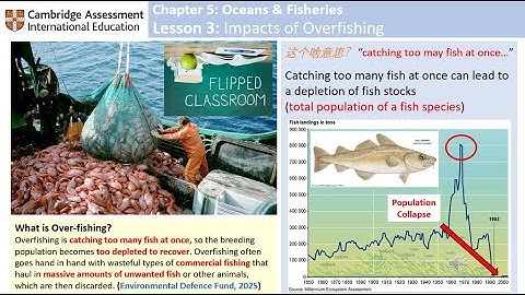 IGCSE - Environmental Management (Impacts of Overfishing)