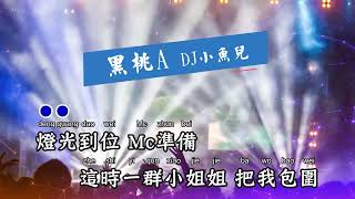 Video thumbnail of "黑桃A - DJ小鱼儿【备有清晰版伴奏】"