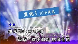 黑桃A - DJ小鱼儿【备有清晰版伴奏】
