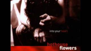 Watch Hothouse Flowers Tell Me video