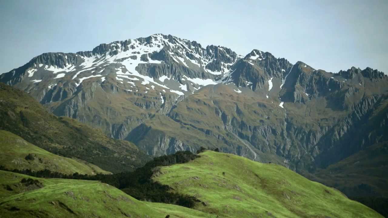 ASHLEY Lammfleisch und Hirschfleisch aus Neuseeland