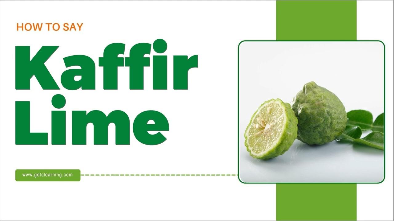 How to Say Kaffir Lime in English correctly YouTube