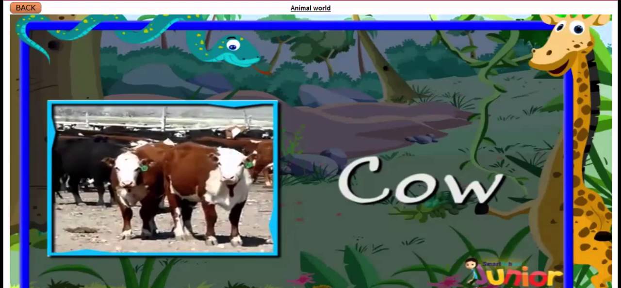 STUDYNDEALS CLASS LKG EVS - YouTube