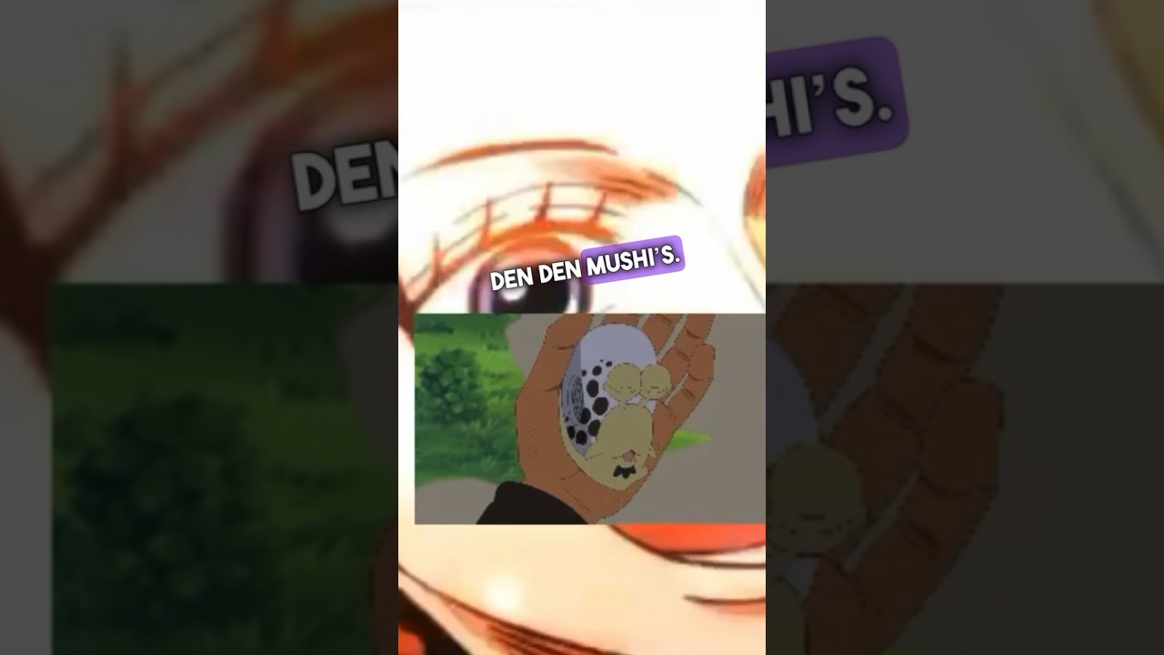 One Piece Den Den Mushi Explained #anime #onepiece