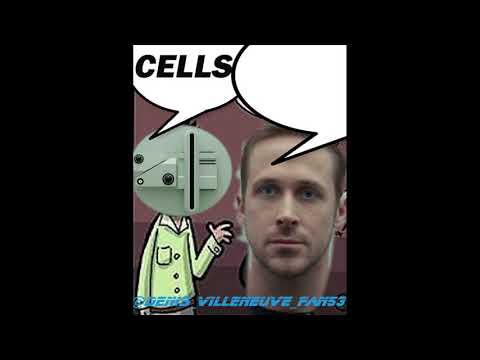 WITHIN CELLS INTERLINK