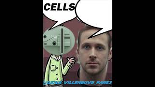 WITHIN CELLS INTERLINK