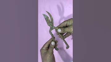 Unbelievable Rusty Scissor Restoration ✨ #Shorts