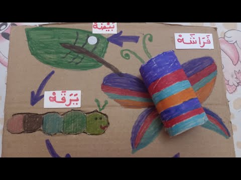 انشطة لدورة حياة الفراشة ونموها سهلة وبسيطة للأطفال /life cycle of a butterfly🦋