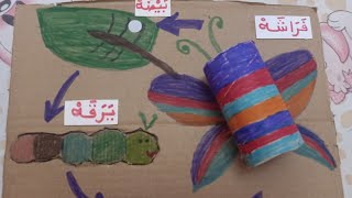 انشطة لدورة حياة الفراشة ونموها سهلة وبسيطة للأطفال /life cycle of a butterfly?