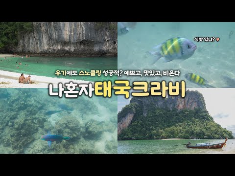 나혼자 태국 크라비 여행|🐠 우기에도 스노클링 성공적? 크라비 홍섬투어|역대급 물고기 몰이 + 역대급 뱃멀미 😰|재밌고, 맛있고, 비 온다 🌧️|태국여행 하는사람er