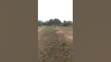 What a excellent turning radius.... Awesome ride with VST MT932....