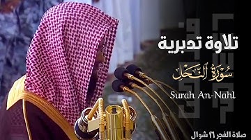 تلاوة تدبرية من سورة النحل للشيخ د. محمد برهجي ~ صلاة الفجر 16 شوال 1446هـ