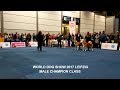 WORLD DOG SHOW 2017 | MALE CHAMPION #AKITA #WDS | GERMANY, LEIPZIG | #WDS2017