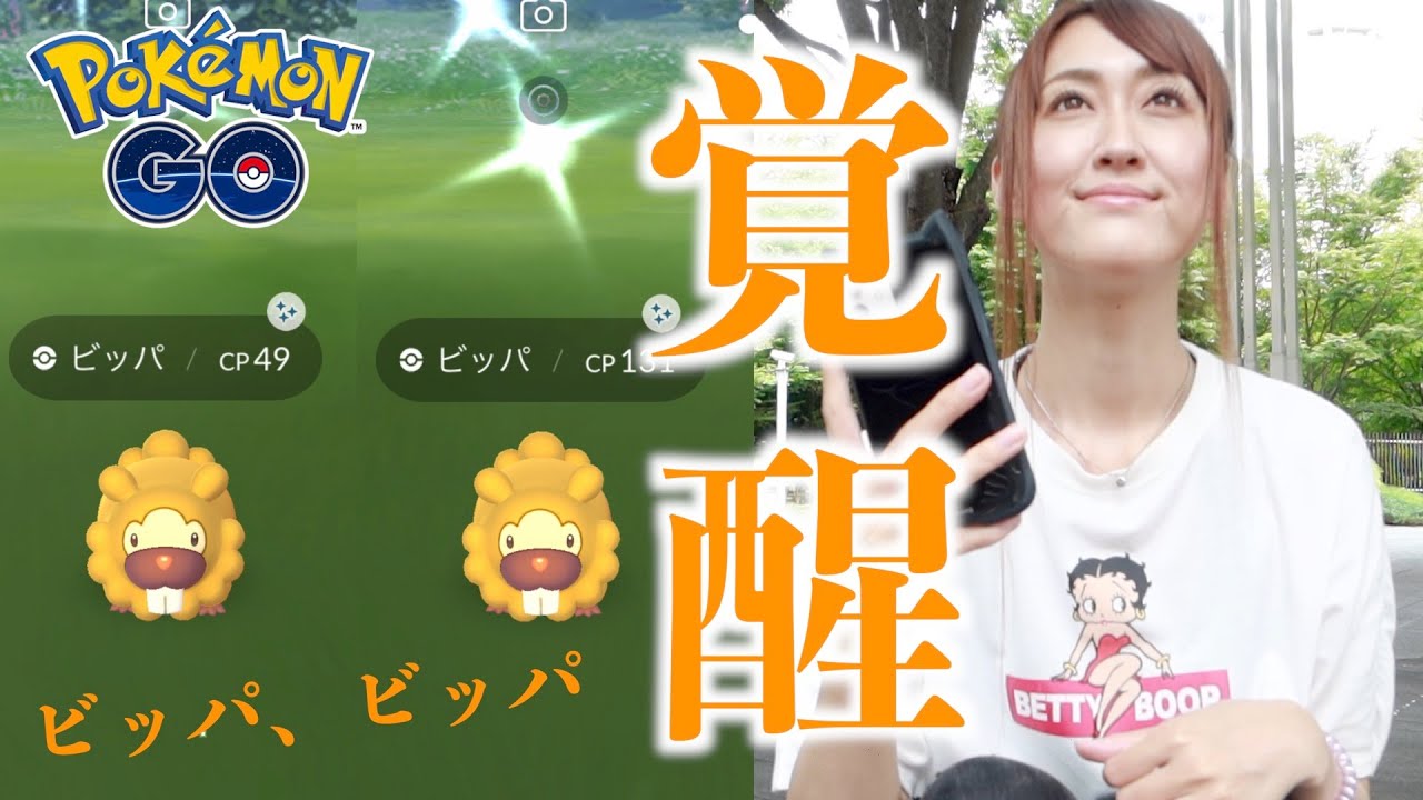 シャドウビッパ探してたら 色違いビッパ大量 ポケモンgo Youtube
