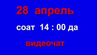 ВИДЕОЧАТДА КАТНАШИНГ.