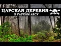 Коп в горах, царский лес