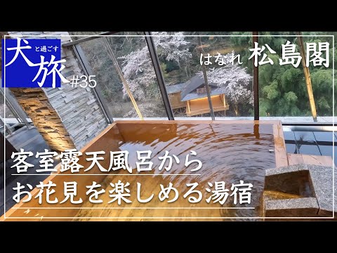 【はなれ松島閣】庄助の宿 瀧の湯が持つスイートルームに愛犬と宿泊し露天風呂からお花見を満喫する