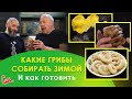 ЗИМНИЙ ГРИБ ОПЕНОК Необыкновенная закуска под водку, салат с грибами, щи от ГЛАВНОГО ГРИБНИКА СТРАНЫ