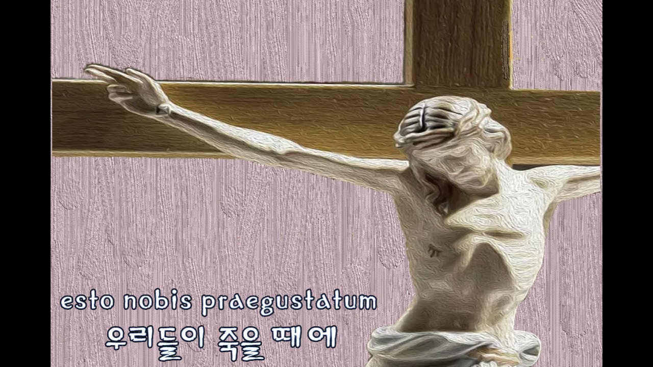 Ave verum(William Byrd)/이철수 지휘