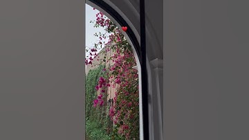 القرآن الكريم #quran #قران_كريم #اللهم_صل_وسلم_على_نبينا_محمد #اكسبلور