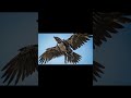#amazingchina #technology #4k #amazing #aerialphotography #aianimation #aerialview #amazingview