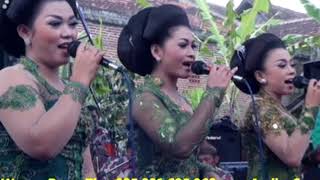 LIVE SHOW ADI LARAS CAMPURSARI