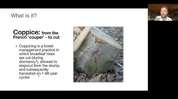 Coppice Agroforestry Fundamentals (webinar)