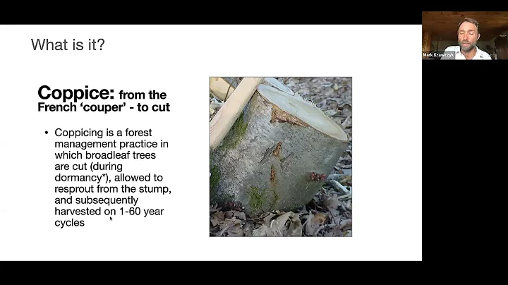 Coppice Agroforestry Fundamentals (webinar)
