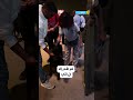 مهرجان الكلاب العالمي في الرياض