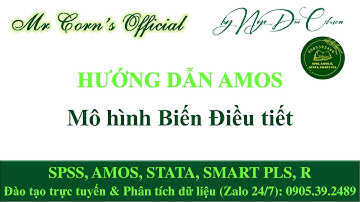 Hướng dẫn AMOS | Thực hiện Mô hình Biến Điều tiết trên AMOS 10012025