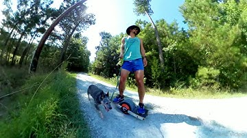 DIY onewheel