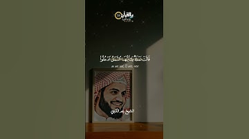 حَتَّى إِذَا أَتَوْا عَلَى وَادِ النَّمْلِ قَالَتْ نَمْلَةٌ ||رعد الكردي||حالات واتس🎧قران كريم