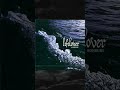lifelover history #lifeloverdsbm #lifeloverband #depressiveblackmetal #metalhistory #metalshorts
