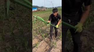 The Ultimate Corn Field Upgrade! 🌽
