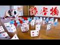 これが猫の身体能力だ!!