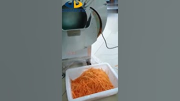 Automatic Carrot Julienne Cutter