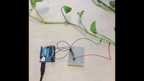 Plant Communication