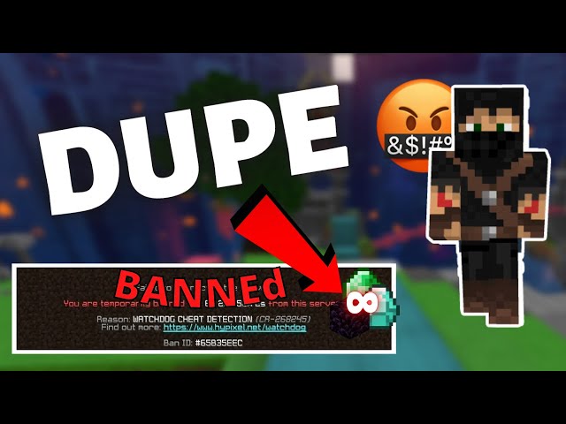 The Skyblock Dupe mod don't get it xD