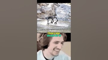 Insane China