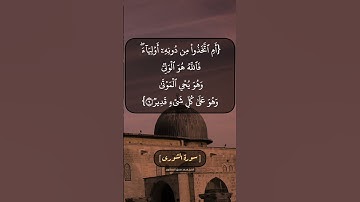 سورة الشورى الآية ٨ الى ١٠ بصوت الشيخ محمد صديق المنشاوي