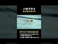 【バタフライ】絶対に疲れない泳ぎ方！たった5分でゆっくり美しい泳ぎのコツを習得！#shorts