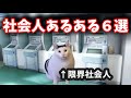 【猫ミーム】社会人あるある6選