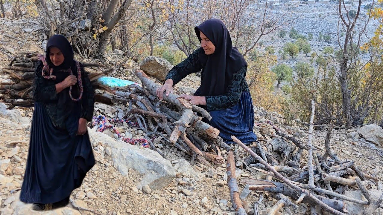 The real life of a nomadic mother in the mountains | Gathering firewood ...