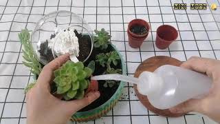 [3D Printing Gift Idea #1] Castle Succulents Bonsai Pot
