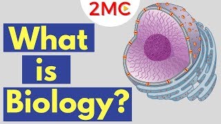 What Is Biology Biology Areas Of Study And Definition Youtube