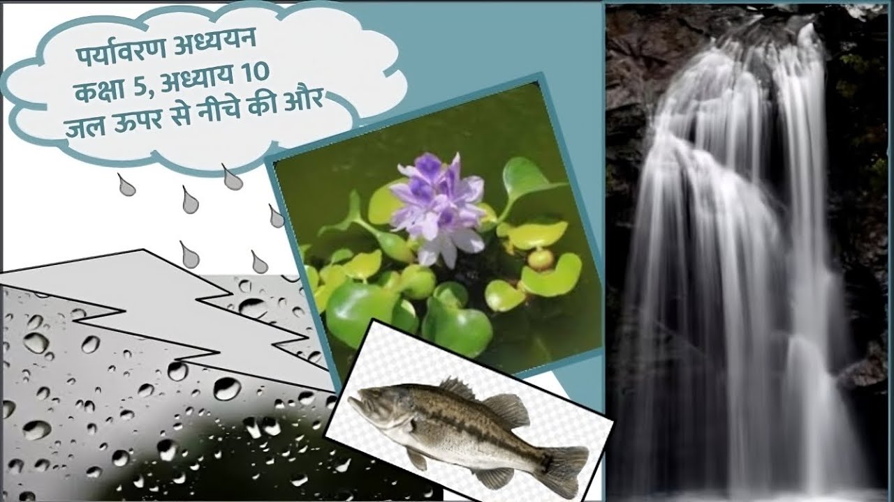 Evs class 5th chapter 10 जल ऊपर से नीचे की ओर || पर्यावरण अध्ययन - YouTube