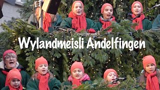 Wylandmeisli Andelfingen: &quot;Mängmal da wett i es Schneeflöckli sii&quot; | Singing Christmas Tree Zürich